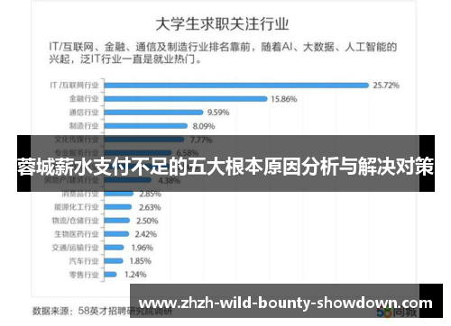 蓉城薪水支付不足的五大根本原因分析与解决对策