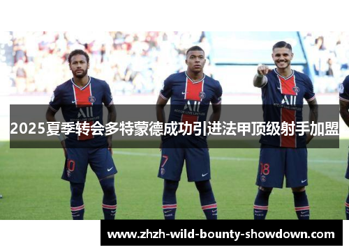 2025夏季转会多特蒙德成功引进法甲顶级射手加盟