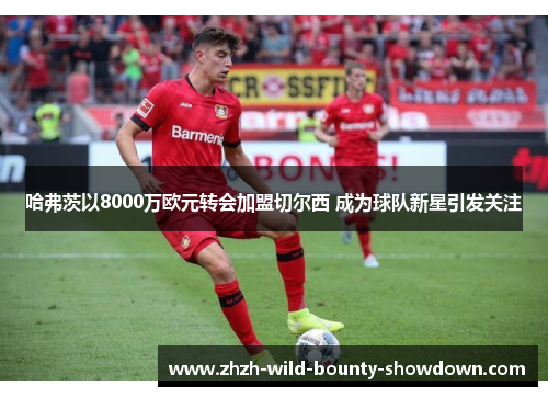 哈弗茨以8000万欧元转会加盟切尔西 成为球队新星引发关注 哈弗茨以8000万欧元转会加盟切尔西 成为球队新星引发关注